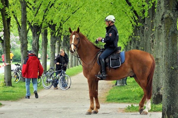 Marathon Teil  II   037.jpg